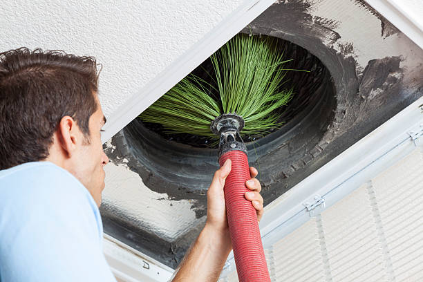 Best Air Duct Cleaning Near Me  in Vienna, WV